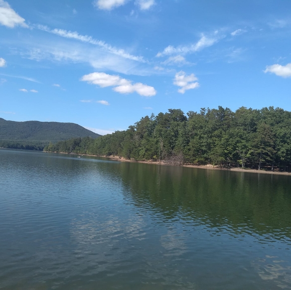 slhickinson43